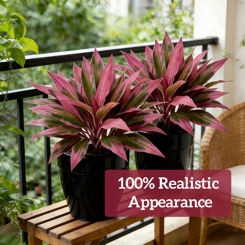 🌹Kunstmatige Dracaena fragrans🌿