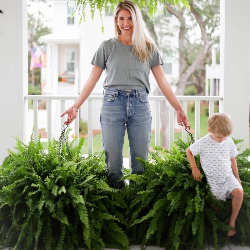 🌱UV-bestendige, levensechte kunstmatige Bostonvaren